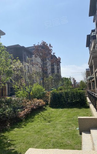 周口天明城动态:我想告诉你:～春天来了[玫瑰]超宽楼间距!