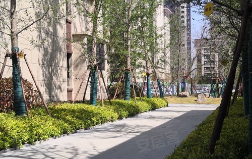 优美的小区环境,大龄的绿化树植,大气的入户大堂,2000平的体育中心.