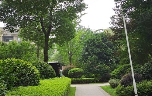 长沙小区绿化,长沙园林修剪,长沙园林养护(第7页)_大山谷图库