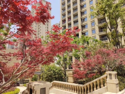 温州奥体华府怎么样,奥体华府业主论坛,奥体华府评论,用户点评 - 温州