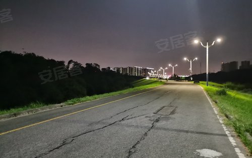 佛山东平河夜景图片