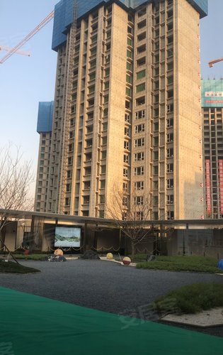 14号楼工程进度