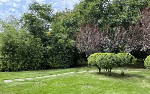 项目北侧的小山坡公园取景