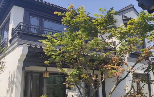 花博汇桃李春风