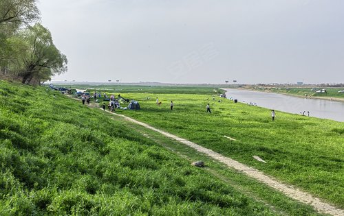 成都府河湿地公园图片