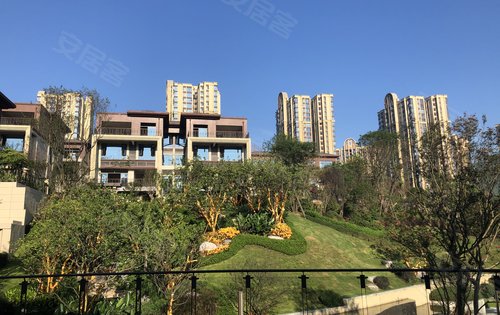 达州楼盘 通川区楼盘 通川区楼盘 宏义·江湾城七期 楼盘动态