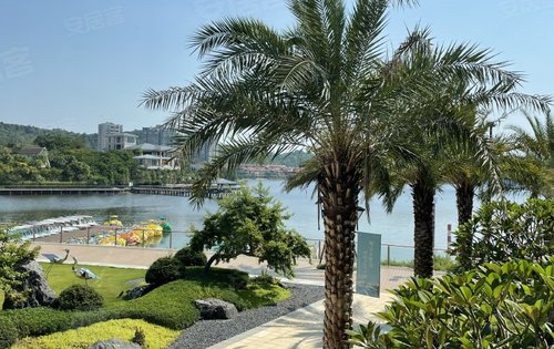 雅居乐 白鹭湖 像白鹭一样生活