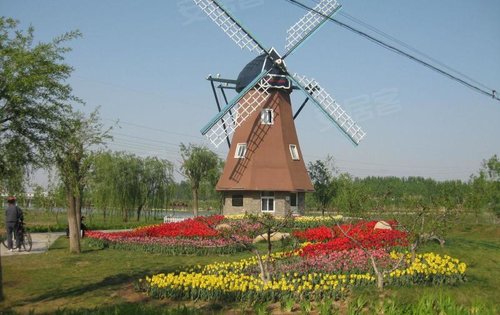 德州減河溼地公園