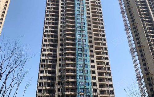 禹洲朗廷元著56号楼明年交房