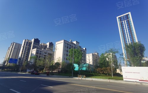 城投置地梧桐栖动态:小区绿植栽种中-成都安居客