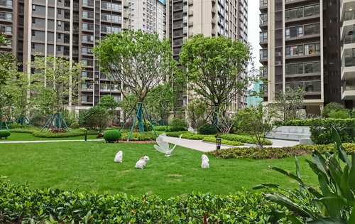 万科中交金枫花园动态:春天,万物复苏,园林内的绿植越发翠绿-惠州安居