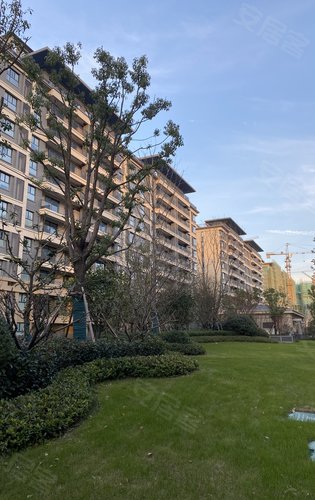 中南·珍宝岛·熙悦动态:社区实景图实景绿化-邳州安居客