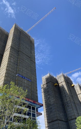 碧桂园星禧环境舒适欢迎咨询