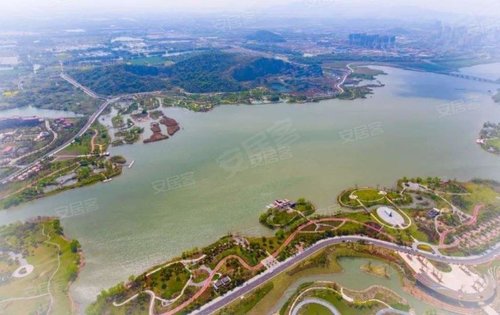 天際雲墅旁西山漾國家4a級溼地公園!天然氧吧,生態康養之所