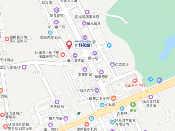 徐闻gdp_徐闻菠萝的海图片(3)