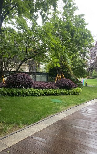 售楼部后面绿化展示即将加推青柠样板间马上开放详情咨询我