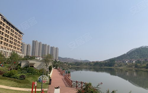 碧桂园·天麓湖动态:生活匆忙,别错过了所有美丽的风景-江门安居客