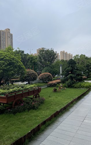 小区门口的园林绿化真好看大部分的楼层都已经在封顶了欢迎咨询