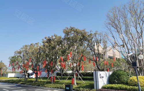 万科中交金枫花园动态:年味还弄,施工现场的工人还没回来,有空也还是