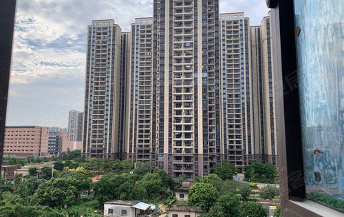 碧桂园凤凰湾动态:凤怡苑工地现场,楼间距宽-佛山安居客