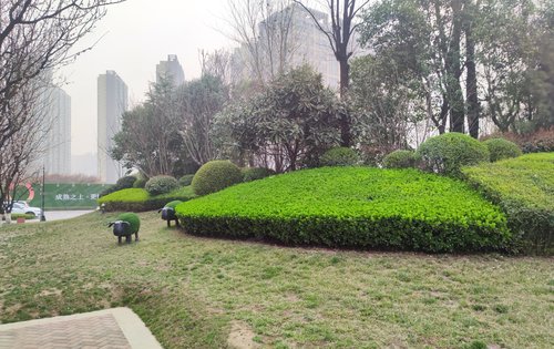 售楼部外围绿化景观实拍