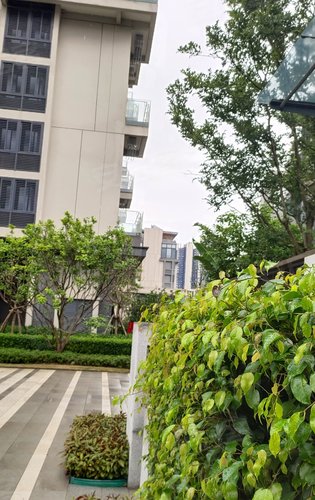 保利半岛叠拼复式洋房实景拍摄南北对流好房子