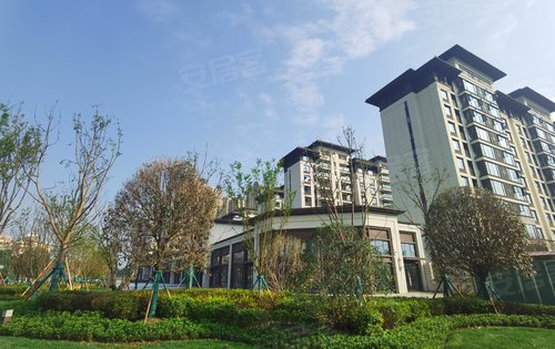 成都楼盘 郫都楼盘 郫筒楼盘 保利熙园 楼盘动态