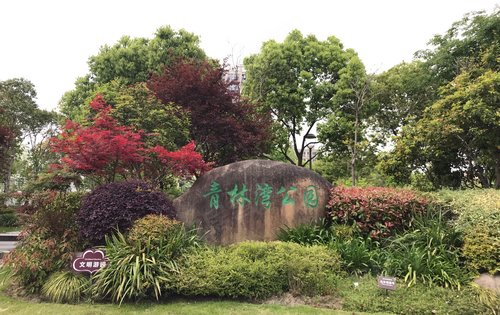 家楼下的公园,尽享春日时光[太阳][太阳][太阳] 5月高鑫广场,我们在