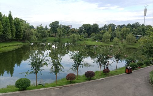 嘉裕羊马湿地公园,湖边可露营,可垂钓