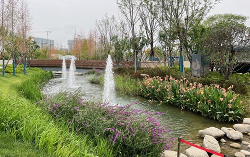 高新云熙港项目东侧已经开放的永安渠海绵城市生态公园