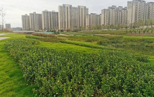 在建中的韩仓河公园景观带