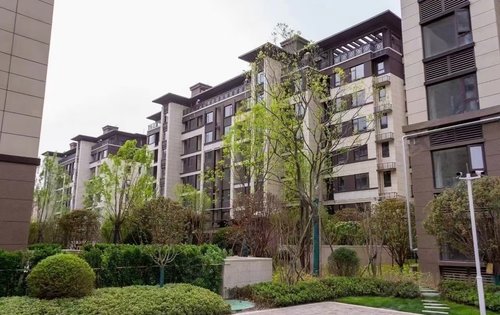 新亚洲建筑风格的洋房