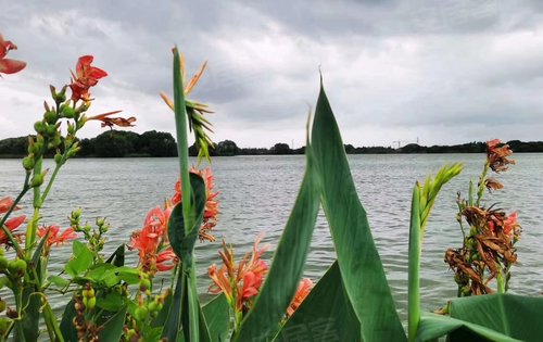 小区南面就是天然湖泊,诸墓漾.环境非常不错.