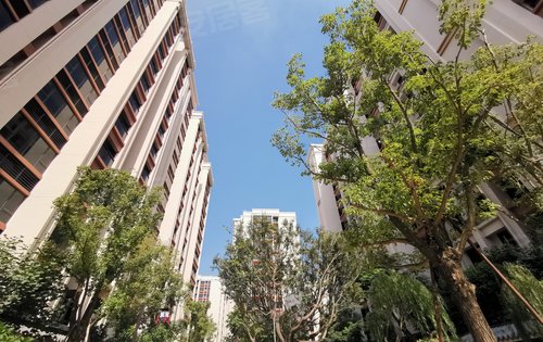 江南梅湾动态:江南园林实景-汕头安居客