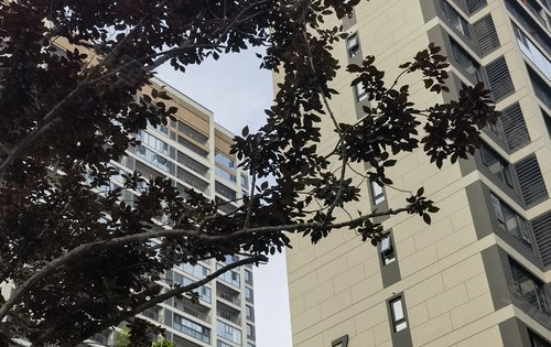地建嘉信·臻华府动态:小区内部环境随手一拍-汉中安居客
