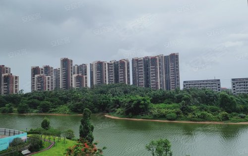 龙光玖御湖雨后清新超高负氧离子天青色等烟雨而我在等你