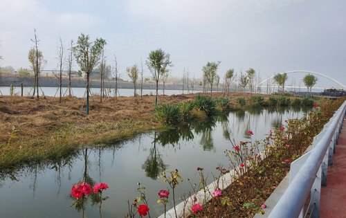 弘阳公园大道动态:滨河公园环境优雅!-徐州安居客