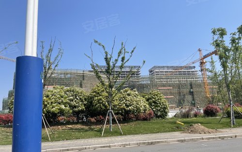 江都碧桂园悦都荟,周边配套,医院即将建成