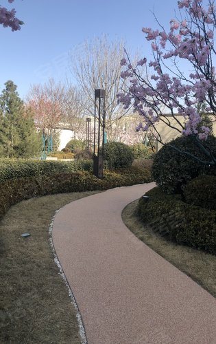 竞秀金茂悦园林绿化