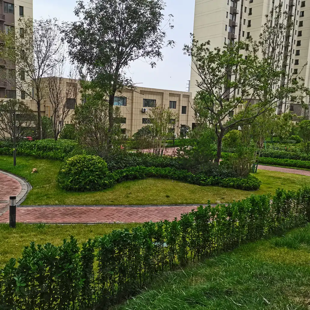 莱州碧桂园莱凤台