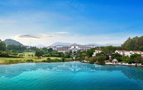 碧桂园假日半岛棕榈岛