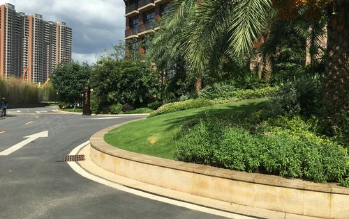 实地常春藤环境图