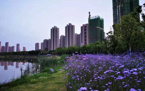 海格公馆动态:下楼就是方岛湿地公园-武汉安居客