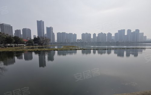 融创公园大观动态:塔子湖湖面-武汉安居客