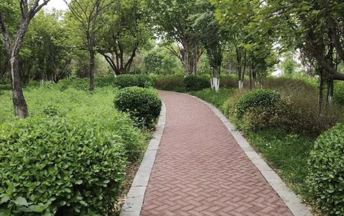浅山香邑公园图片