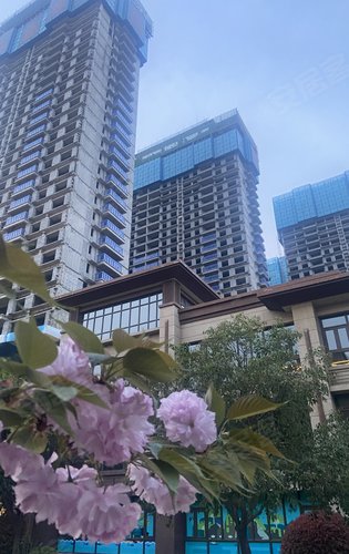 碧桂园凤凰湾二期动态:碧桂园凤凰湾一期工地实拍。-洛阳安居客