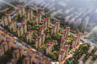 桦琳雅廷
