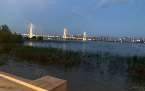 江边二七长江大桥夜景还是非常漂亮的