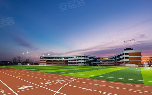 ---师大附中双语树