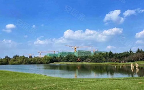 高尔夫球场视角的玫瑰园